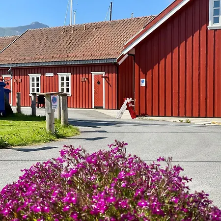 Anker Brygge 5*