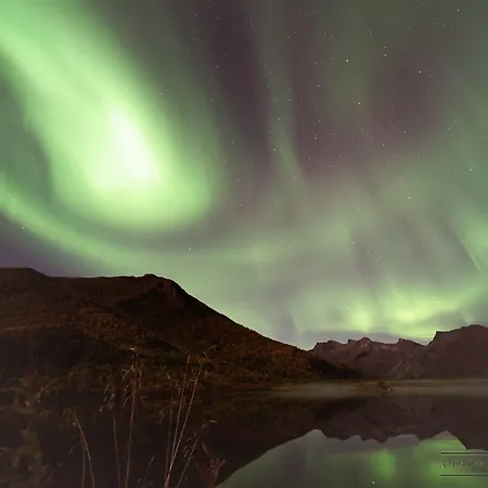 Anker Brygge 5* Свольвер