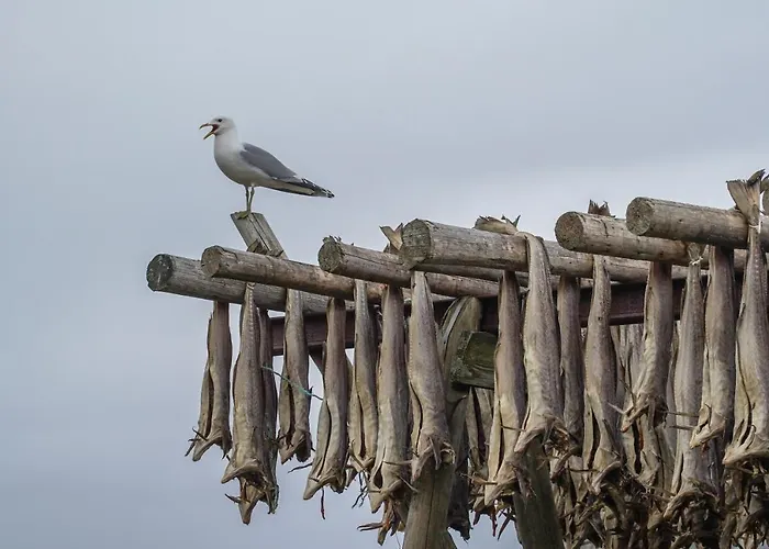 Hotel Anker Brygge 5*