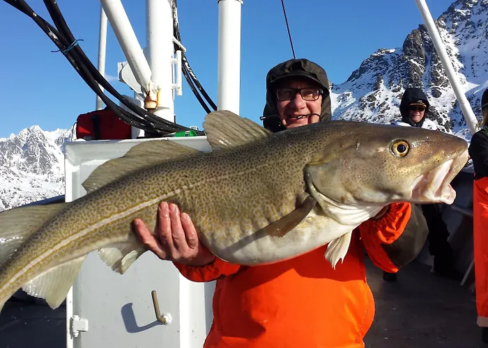 Hotel Anker Brygge Svolvær
