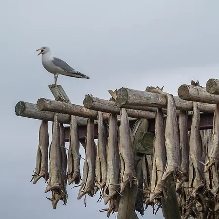 Hotel Anker Brygge 5*