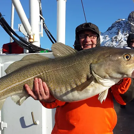 Hotel Anker Brygge Svolvær